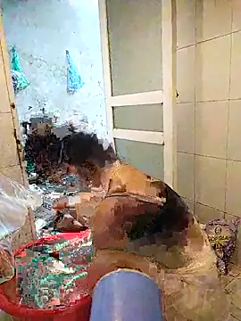 naop04 online show from October 21, 2025, 11:15 pm