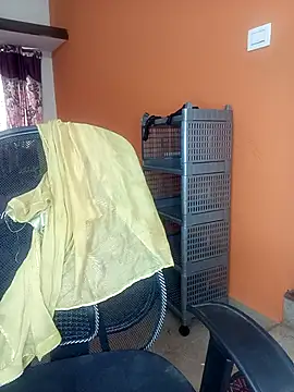 Chadni kannada online show from October 25, 2025, 4:33 am