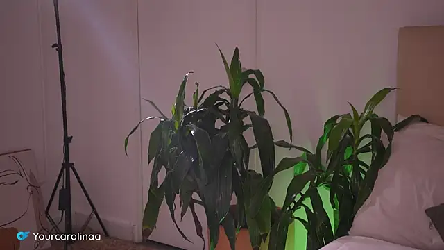 Carolart  online show from January 6, 2026, 10:25 pm