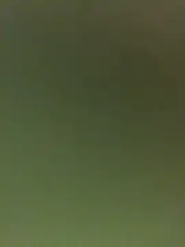 JuanitaMore01 online show from February 16, 2026, 9:56 pm