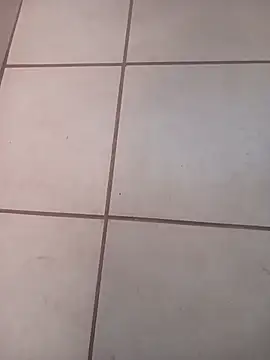 bushbaby-dicky online show from November 20, 2025, 11:44 am