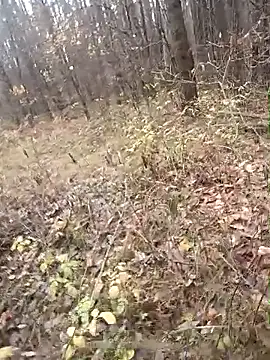 llass55 online show from November 2, 2025, 9:25 am