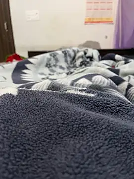 Snapshot of jackyw chatting on November 4, 2025, 11:58 am jackyw online show from November 4, 2025, 11:58 am