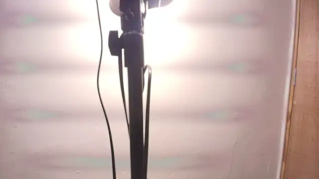 Snapshot of Terraelowen chatting on February 25, 2026, 11:32 am Terraelowen online show from February 25, 2026, 11:32 am