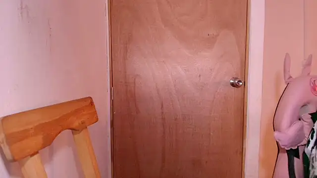 Snapshot of Terraelowen chatting on January 18, 2026, 11:24 am Terraelowen online show from January 18, 2026, 11:24 am