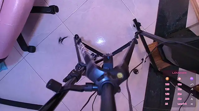 Snapshot of Terraelowen chatting on November 1, 2025, 11:48 am Terraelowen online show from November 1, 2025, 11:48 am