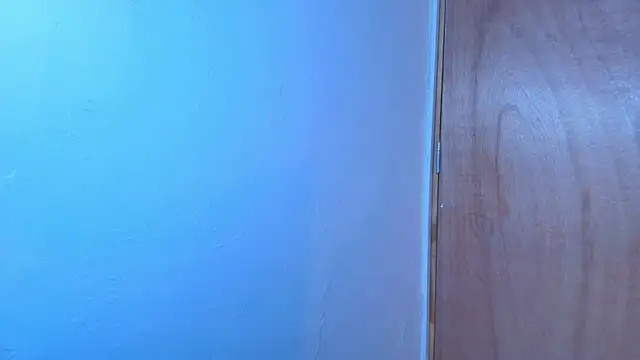 Snapshot of Terraelowen chatting on February 15, 2026, 11:20 am Terraelowen online show from February 15, 2026, 11:20 am