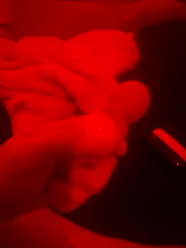 Snapshot of 2Tight2Handle chatting on October 20, 2025, 2:17 pm 2Tight2Handle online show from October 20, 2025, 2:17 pm