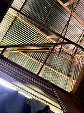 Alabestia12 online show from December 5, 2025, 3:10 pm