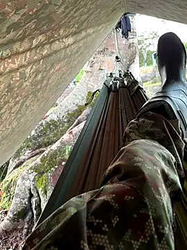 Alabestia12 online show from November 11, 2025, 11:27 am