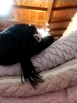 Snapshot of solpeich chatting on October 15, 2025, 3:05 am solpeich online show from October 15, 2025, 3:05 am