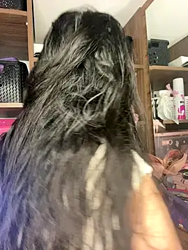 Sophi dee1 online show from November 3, 2025, 10:13 pm