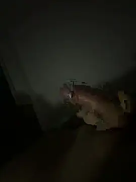 Deadpool010201 online show from March 8, 2026, 12:27 am