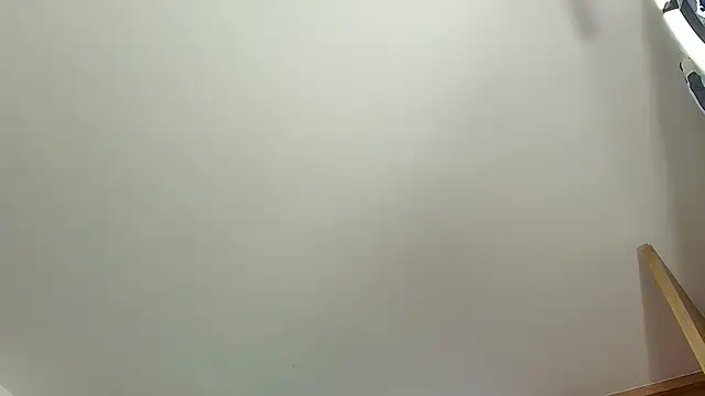 Snapshot of DaveSoldier chatting on February 5, 2026, 7:53 pm DaveSoldier online show from February 5, 2026, 7:53 pm