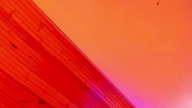 Snapshot of Angel_kanon chatting on March 3, 2026, 12:34 pm Angel kanon online show from March 3, 2026, 12:34 pm