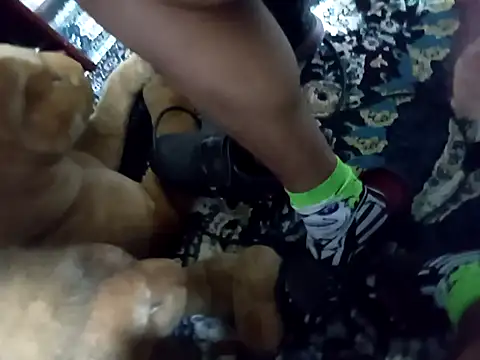 Gemenissss online show from September 11, 2025, 6:57 am