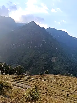 MuiNay online show from November 24, 2025, 9:09 am