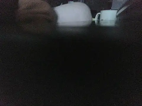 Snapshot of Thrust_71 chatting on January 7, 2026, 4:34 pm Thrust 71 online show from January 7, 2026, 4:34 pm