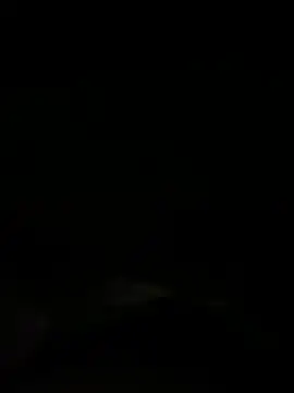 Dora  baby online show from November 19, 2025, 12:05 pm