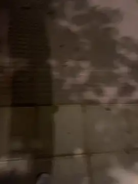 Snapshot of Wild2XXX chatting on October 21, 2025, 11:26 pm Wild2XXX online show from October 21, 2025, 11:26 pm