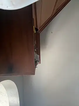 Jus-Diaz online show from November 19, 2025, 6:08 pm