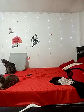 Lady 16 online show from February 17, 2026, 1:58 am