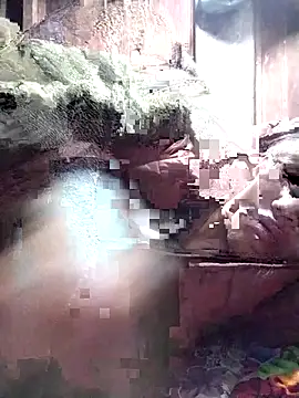 PhamPm70 online show from November 22, 2025, 10:41 pm