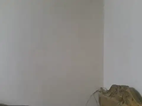 Snapshot of elpoop7305 chatting on March 15, 2026, 8:49 pm elpoop7305 online show from March 15, 2026, 8:49 pm