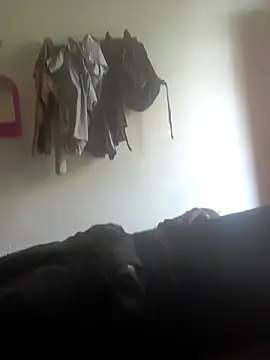 Horlic11009   online show from September 23, 2025, 5:14 am