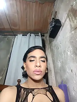 Snapshot of babyy_foxxy chatting on February 17, 2026, 9:12 pm babyy foxxy online show from February 17, 2026, 9:12 pm