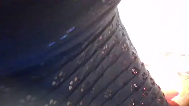 LustInLips online show from October 9, 2025, 5:08 am