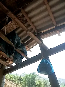 CoMay003 online show from April 12, 2026, 4:49 am