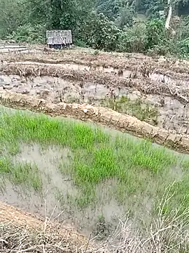 CoMay003 online show from April 1, 2026, 6:15 am