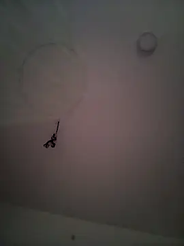 Nika Hot online show from December 4, 2025, 12:37 pm