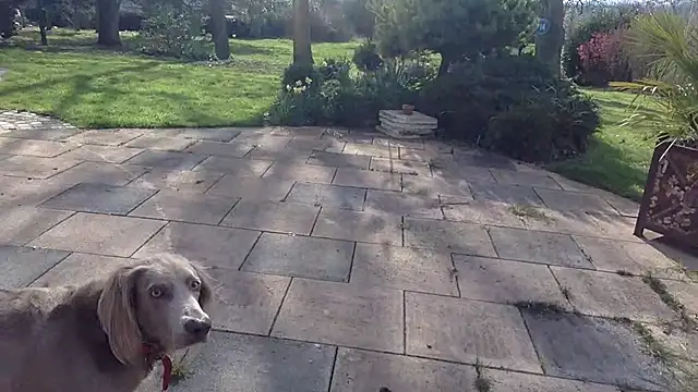 3615-ULLA online show from March 10, 2026, 2:32 pm