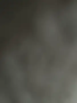 NoddingScorpion online show from December 5, 2025, 8:35 am