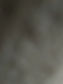 NoddingScorpion online show from December 3, 2025, 8:36 am