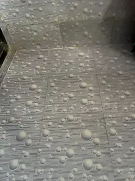 NoddingScorpion online show from December 1, 2025, 8:26 am