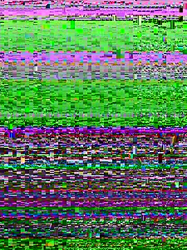 arabsam23 online show from February 11, 2026, 4:51 pm