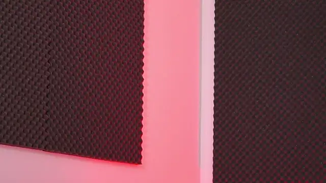 EllieRedd online show from December 21, 2025, 5:20 am