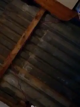 Snapshot of LUISSLEONN0958 chatting on September 25, 2025, 9:04 am LUISSLEONN0958 online show from September 25, 2025, 9:04 am