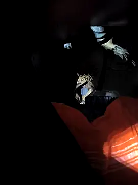 Snapshot of rajdehli chatting on April 18, 2026, 5:04 pm rajdehli online show from April 18, 2026, 5:04 pm