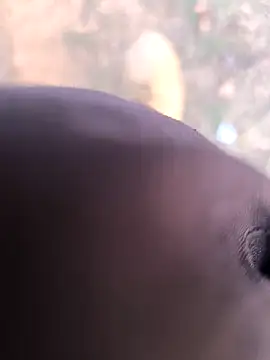 Snapshot of rajdehli chatting on March 26, 2026, 12:03 pm rajdehli online show from March 26, 2026, 12:03 pm