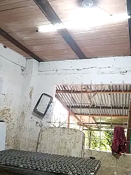 hoteder online show from October 29, 2025, 1:32 pm