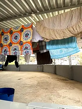 Morenocasado34liberal online show from November 3, 2025, 12:31 pm