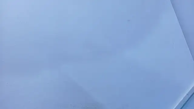 Lizbeth Rouse online show from November 9, 2025, 11:14 am