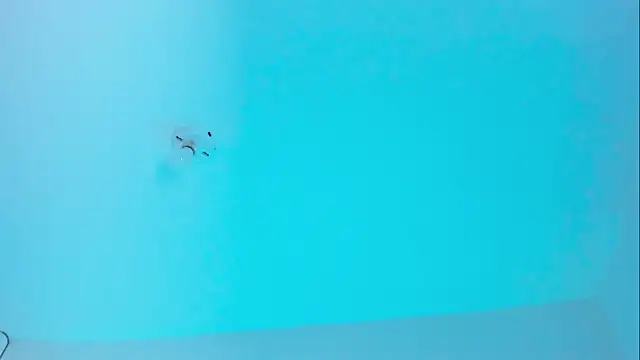 Ellope  online show from November 19, 2025, 9:59 pm