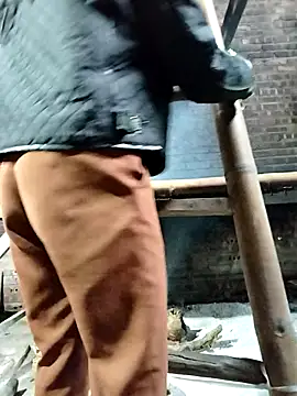 Sinejdk3 online show from October 24, 2025, 8:13 am