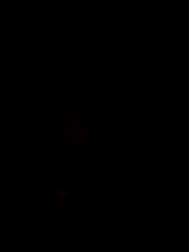 ChartedHallway online show from October 30, 2025, 8:45 am