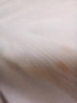 sulove xx online show from March 31, 2026, 11:40 pm